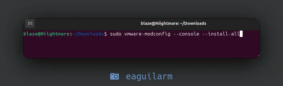 vmware-ubuntu-24.10-11