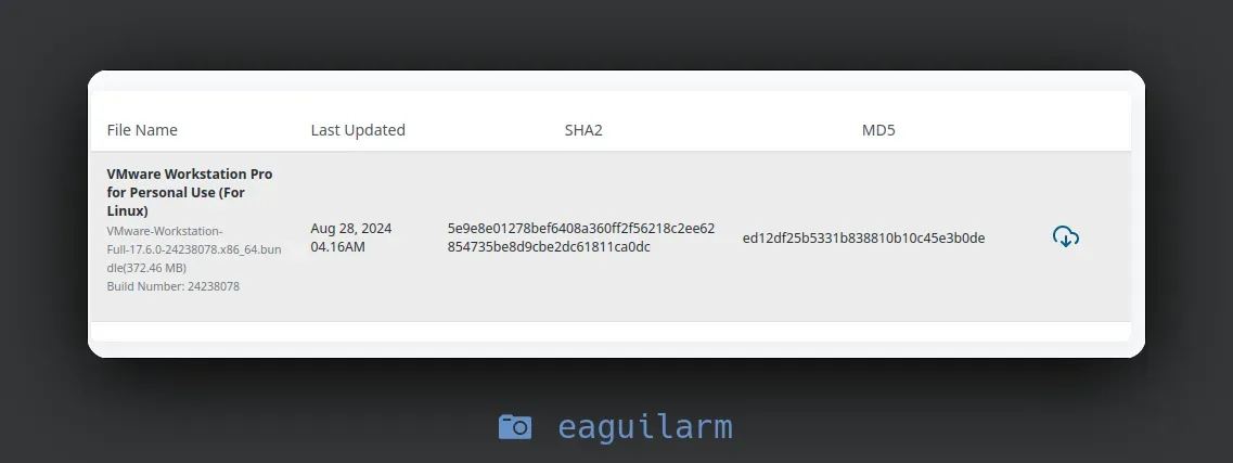 vmware-ubuntu-24.10-5